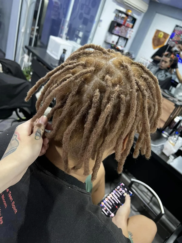 Dreadlock 26