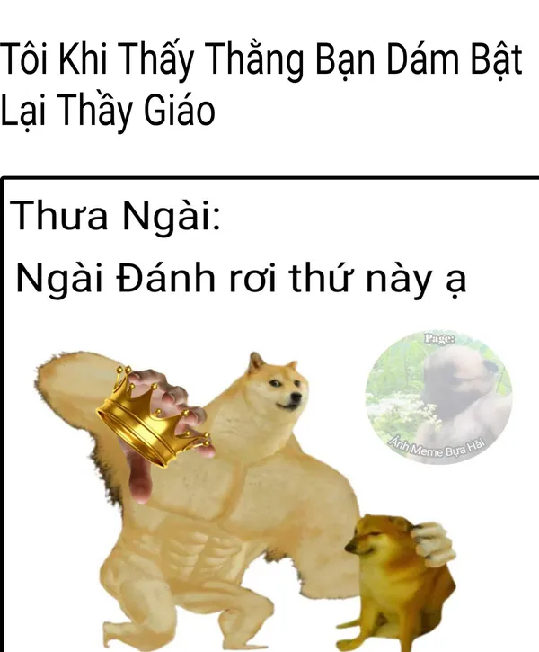 Ảnh chế meme hài hước 7