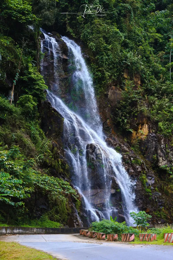 Ảnh thiên nhiên 11