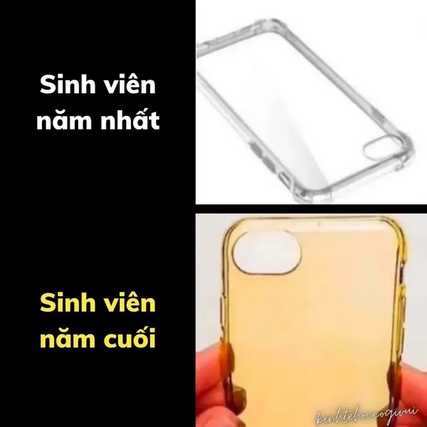 Ảnh chế meme hài hước 25