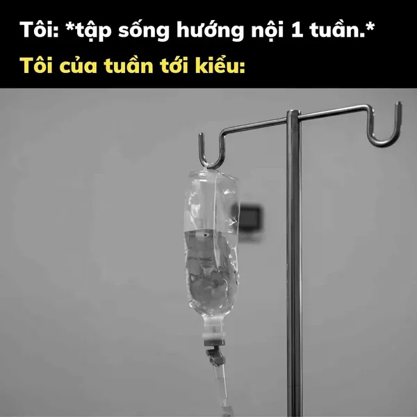 Ảnh meme hài bựa 6