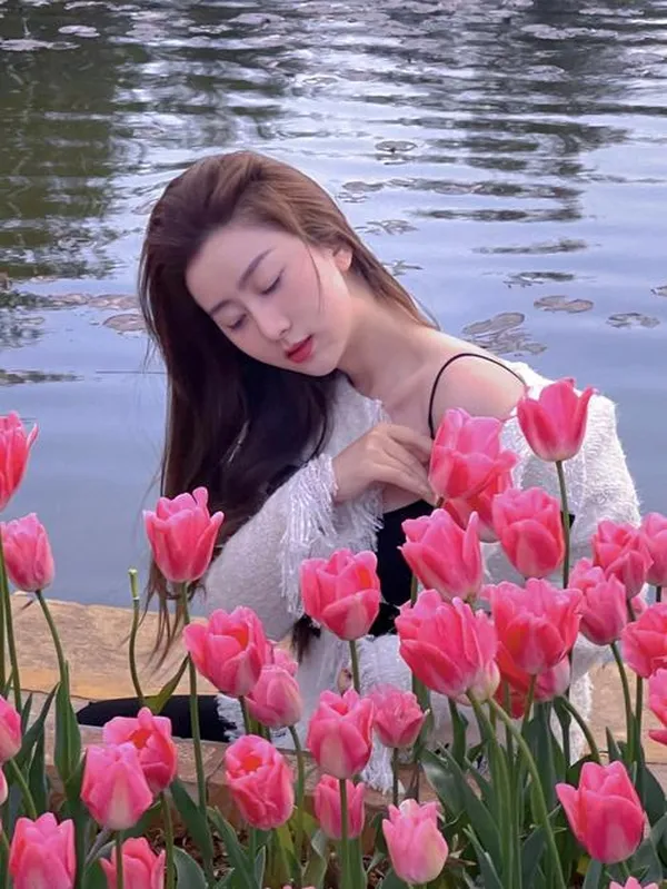 hình ảnh hoa tulip hồng