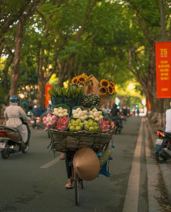 ảnh đẹp hà nội 2