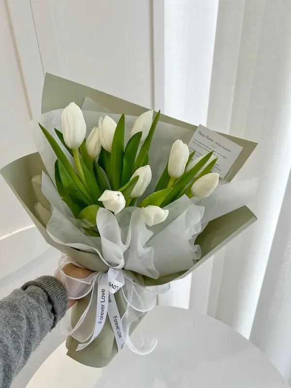 hình nền hoa tulip trắng 10