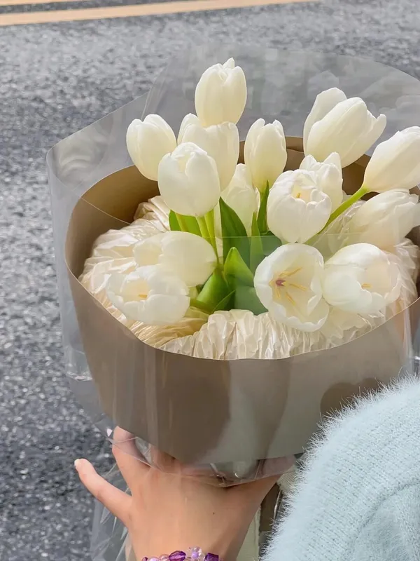 hình nền hoa tulip trắng 9