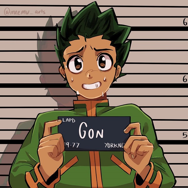 Gon Freecss 13