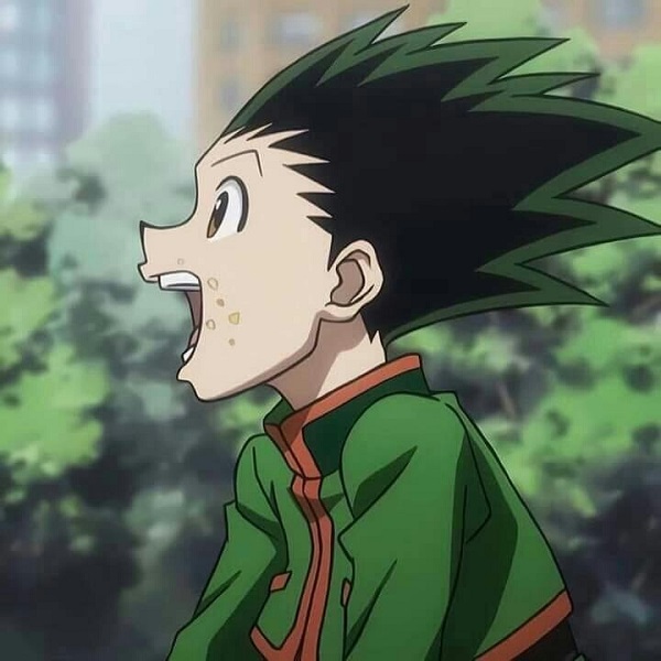 Gon Freecss 20