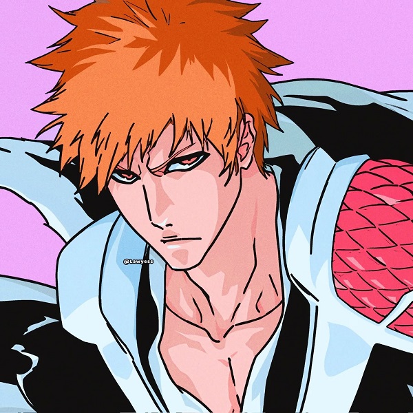 Ảnh Ichigo Kurosaki 13