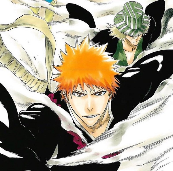 Ảnh Ichigo Kurosaki 16