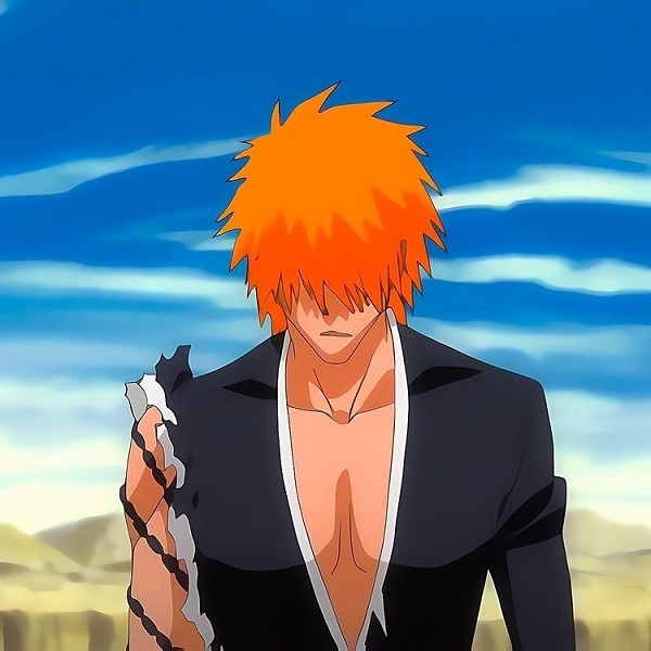 Ảnh Ichigo Kurosaki 18