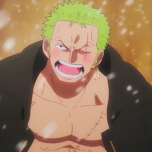 Ảnh Roronoa Zoro ngầu 1