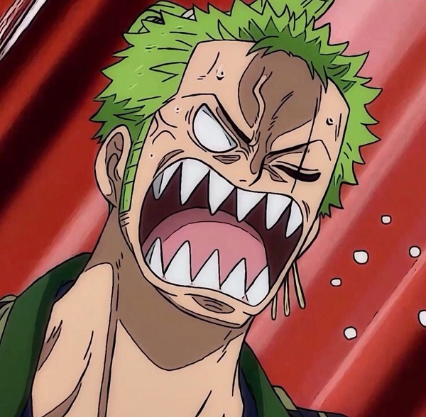 Ảnh Roronoa Zoro ngầu 14