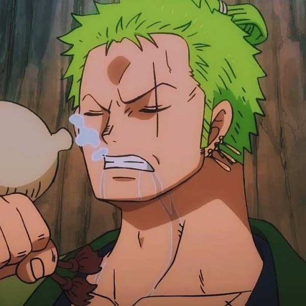 Ảnh Roronoa Zoro ngầu 17