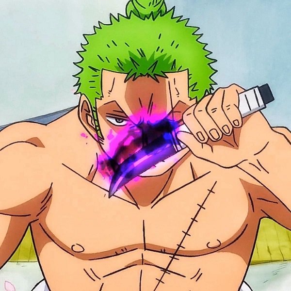 Ảnh Roronoa Zoro ngầu 20