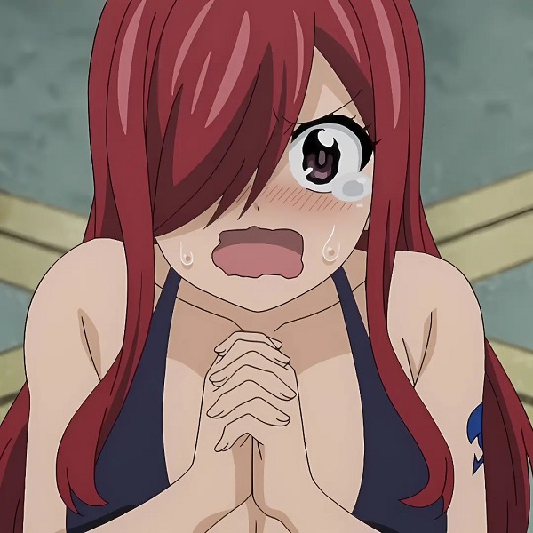 Erza Scarlet 11