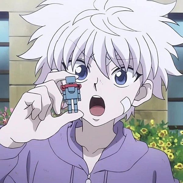 Killua Zoldyck 17