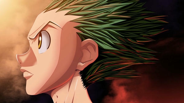 Gon Freecss (9)