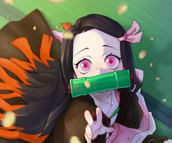 Kamado Nezuko (10)