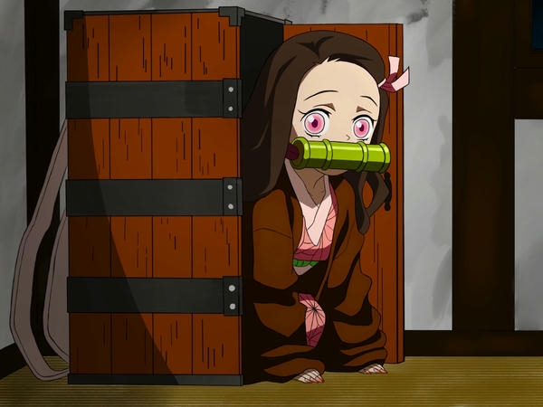 Kamado Nezuko (9)