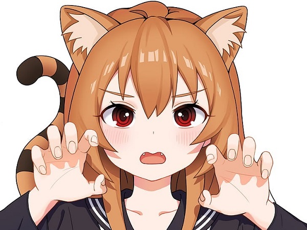 Taiga Aisaka (9)