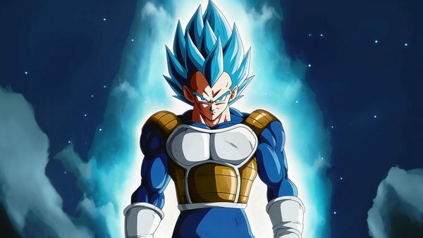 Vegeta (6)
