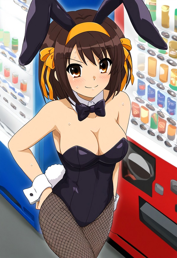 Haruhi Suzumiya hentai 13