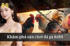 Đá gà online BJ88: Kịch tính, hấp dẫn từng giây phút