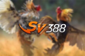 Đá gà SV388 – Sân chơi đá gà uy tín số 1 Châu Á