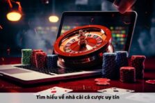 Nhà Cái Cá Cược Uy Tín – Lựa Chọn Thông Minh Cho Game Thủ