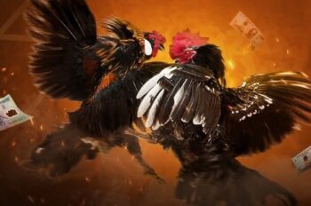 Trực tiếp đá gà AE888 – Thưởng thức từng pha đối đầu gay cấn, kịch tính đến nghẹt thở